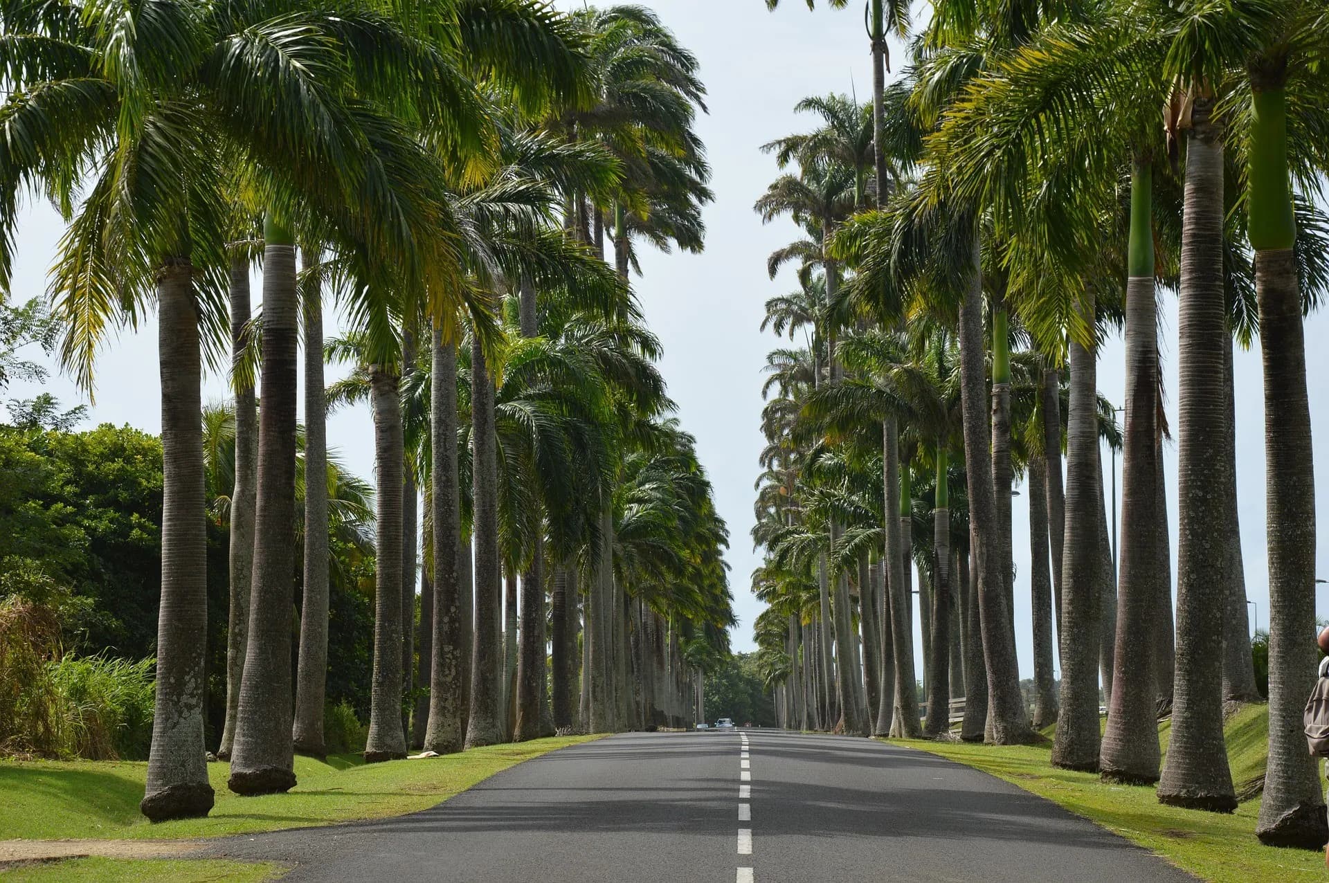 Guadeloupe : un radar tourelle tous les 10 kilomètres