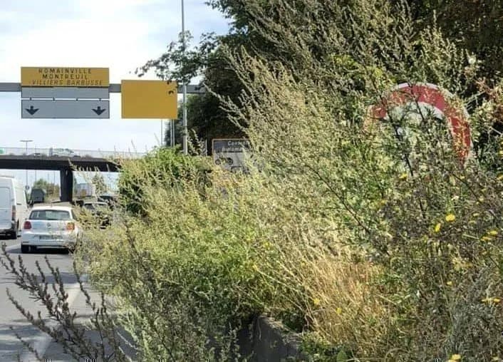 Panneau de vitesse caché par la végétation : des flashs annulés ?