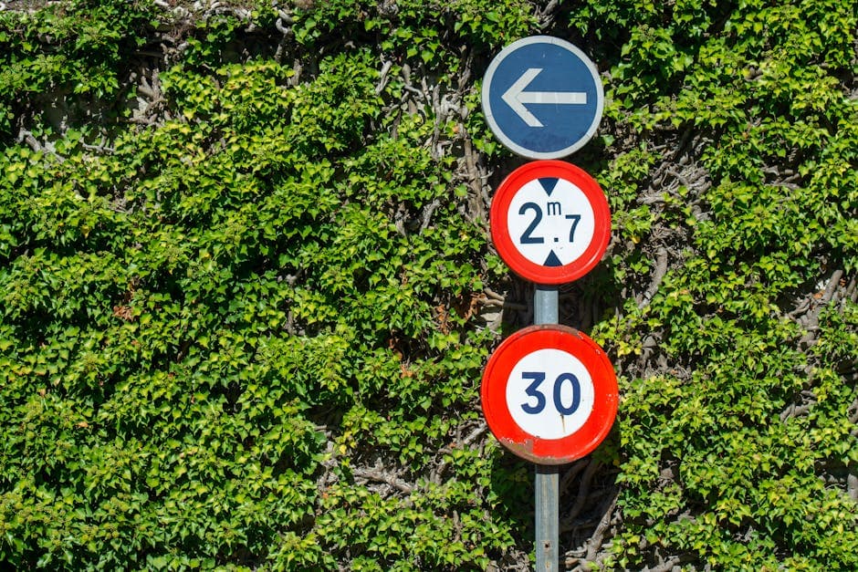 Panneau de vitesse masqué par de la végétation ou des travaux : peut-on contester un PV de radar ?