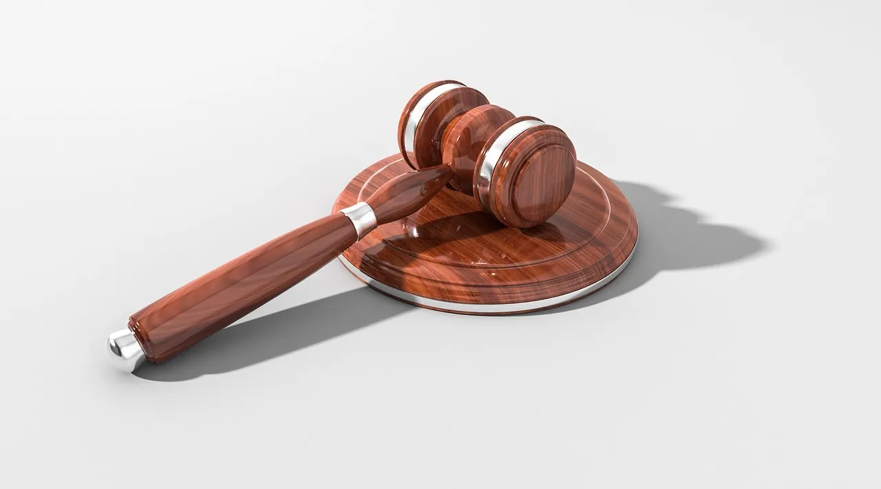 Passer le permis de conduire peut être une injonction de justice